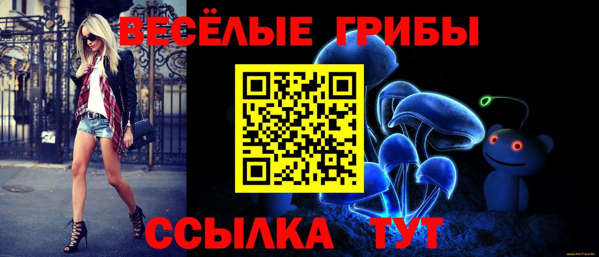 Галлюциногенные грибы прущие грибы Химки